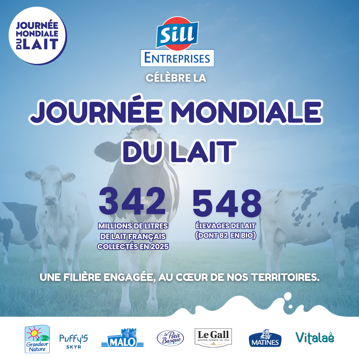 Journée mondiale du lait 🌍